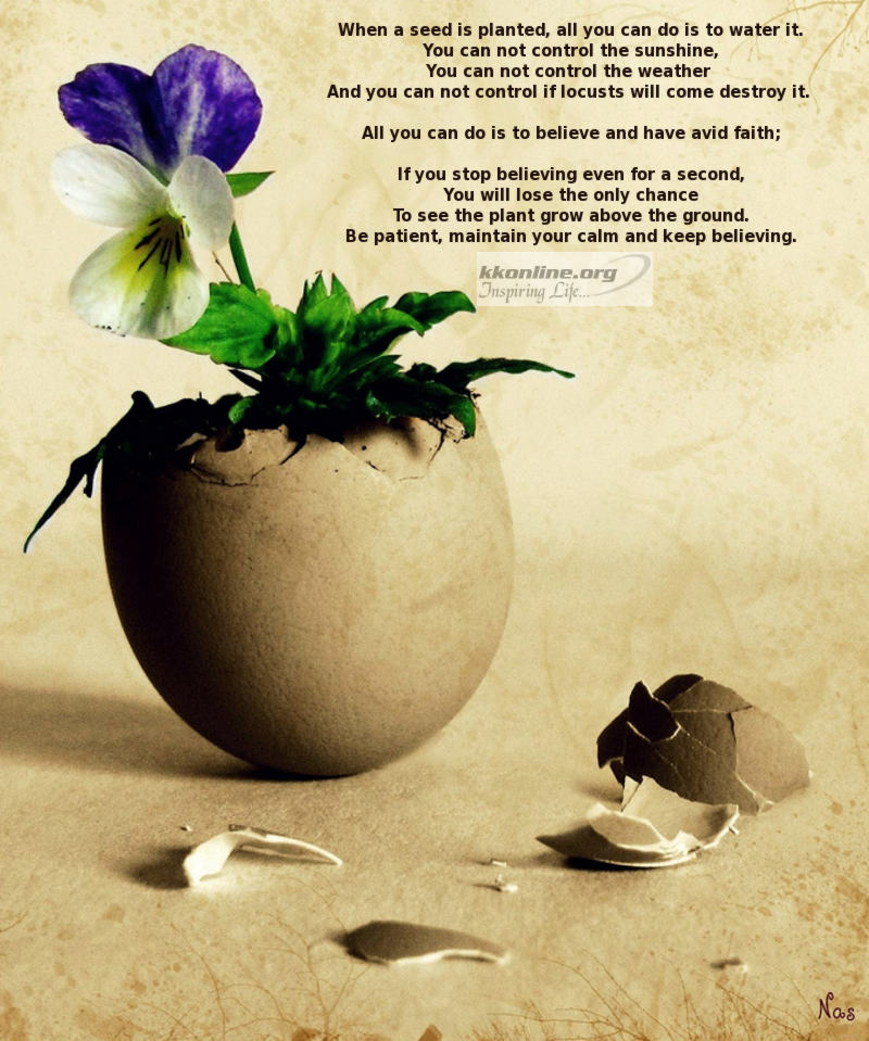 When a seed is planted, all you can do is to water it.