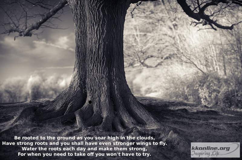 Be rooted to the ground as you soar high in the clouds