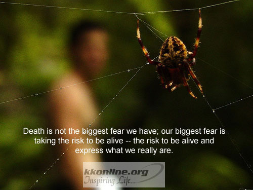 Fear 