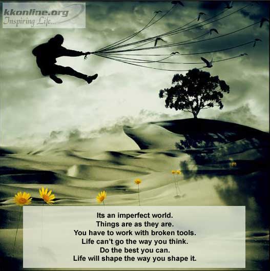 Imperfect world