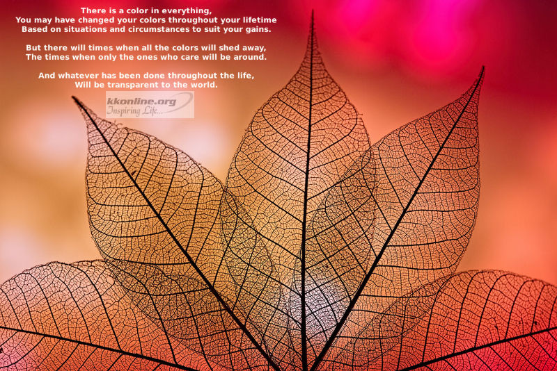 There is a color in everything