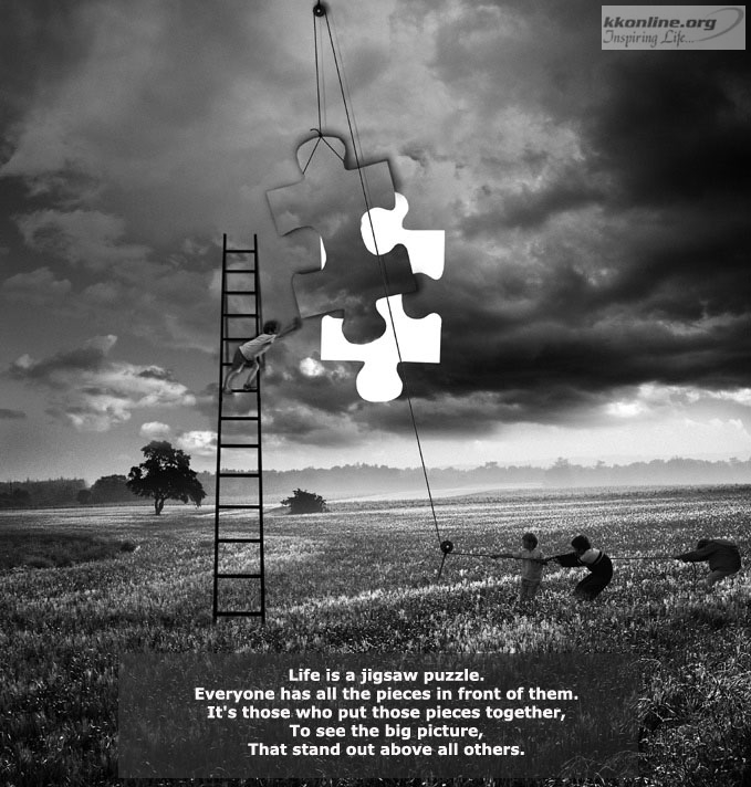 Life puzzle