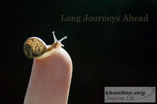 Longjourney 