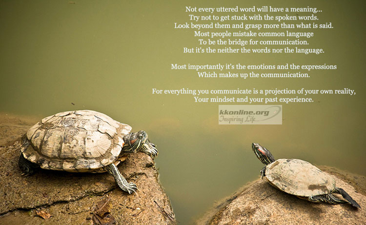 Words and communication